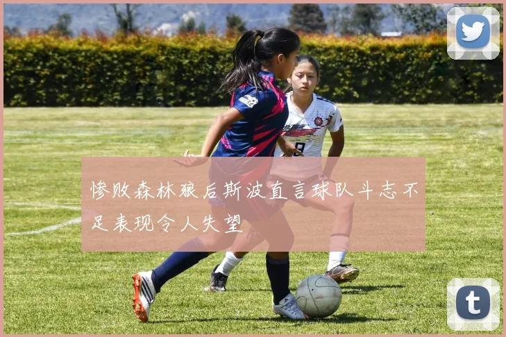 惨败森林狼后斯波直言球队斗志不足表现令人失望