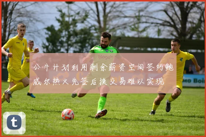 公牛计划利用剩余薪资空间签约鲍威尔热火先签后换交易难以实现