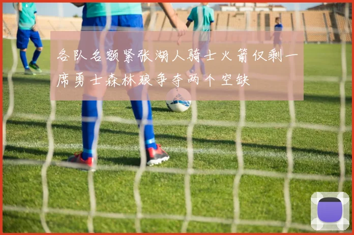 各队名额紧张湖人骑士火箭仅剩一席勇士森林狼争夺两个空缺